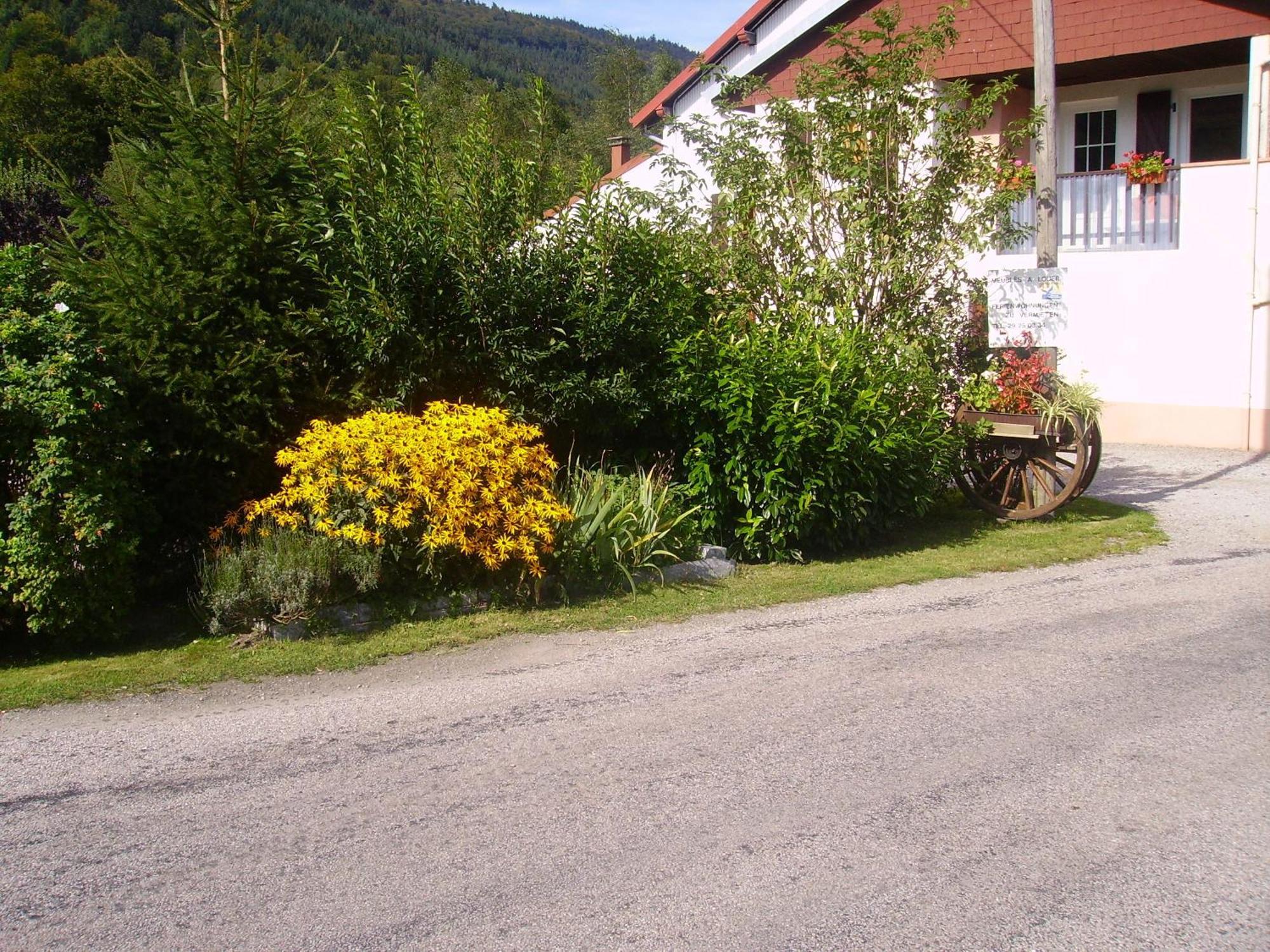 Gites Les Grandes Voies - Cle Vacances Le Ménil Dış mekan fotoğraf