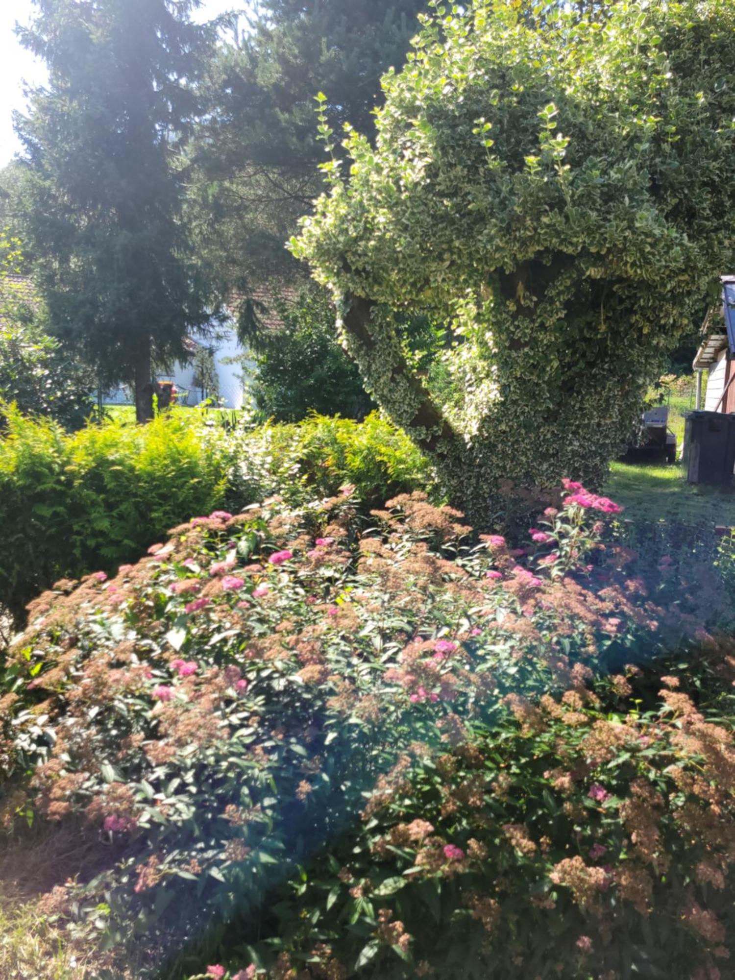 Gites Les Grandes Voies - Cle Vacances Le Ménil Dış mekan fotoğraf