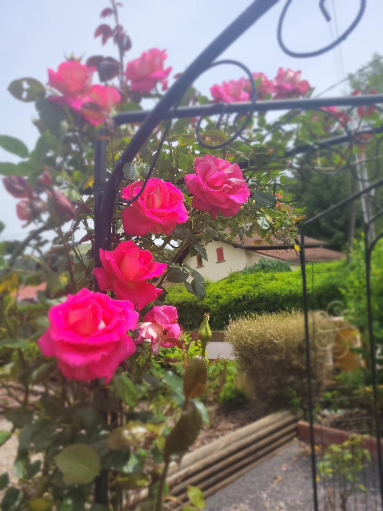 Gites Les Grandes Voies - Cle Vacances Le Ménil Dış mekan fotoğraf