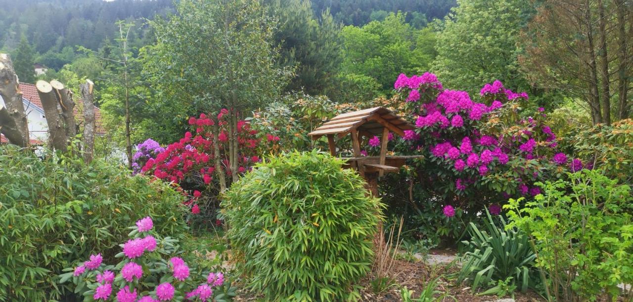 Gites Les Grandes Voies - Cle Vacances Le Ménil Dış mekan fotoğraf